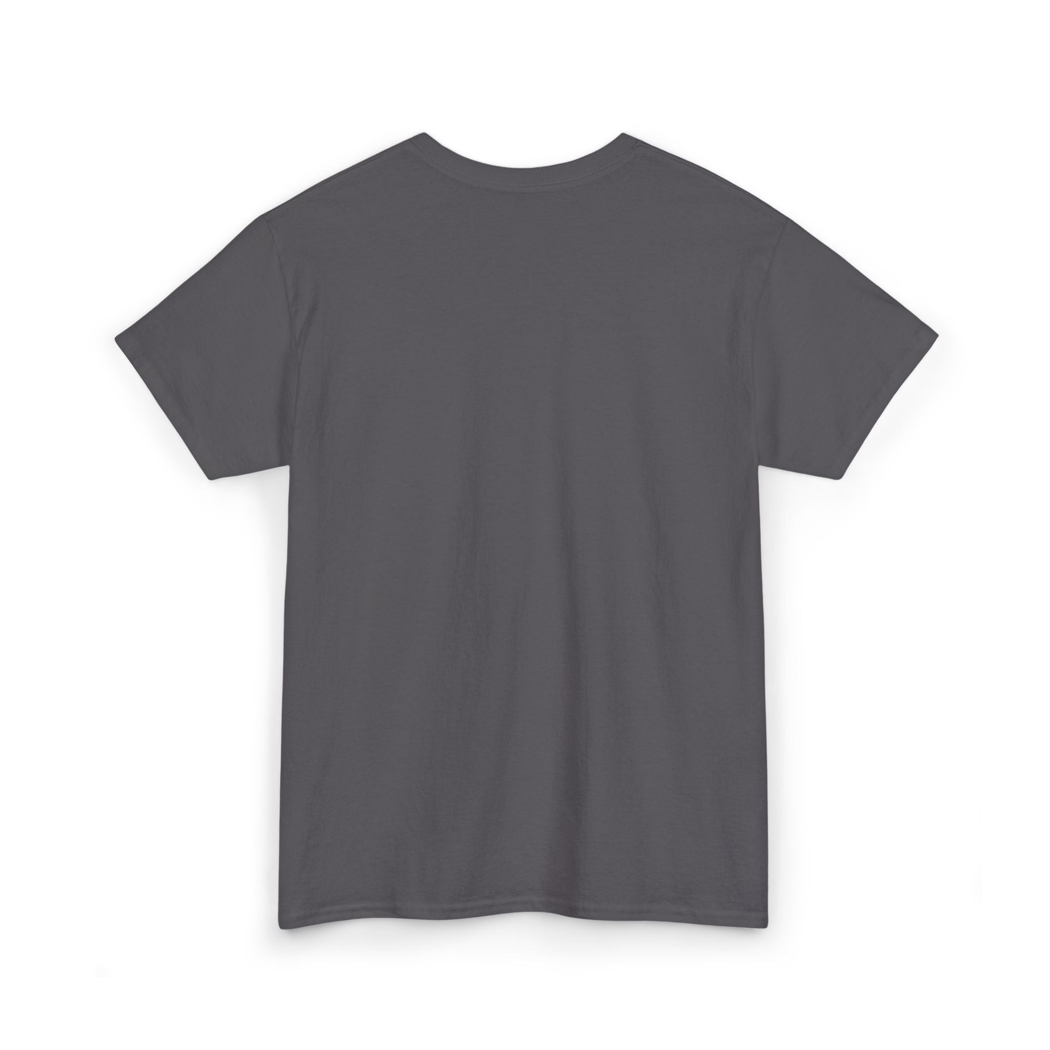 Minimal "In My Soft Era" Tee — Casual White Graphic T-Shirt